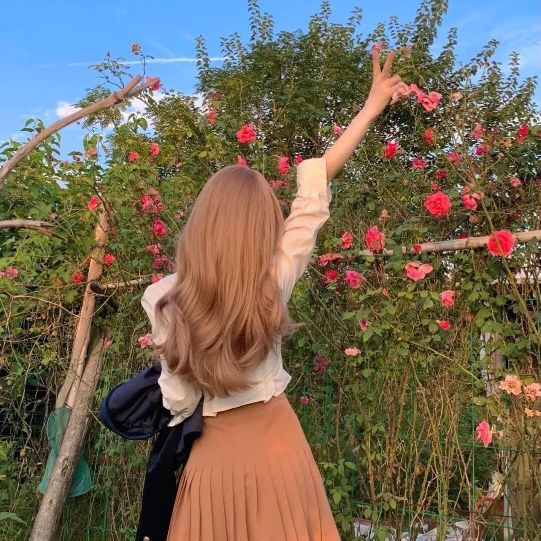 明星伙伴 第三季